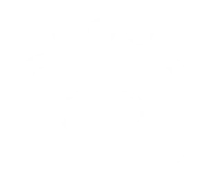 symbol.army icon